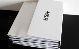 Llimona disseny gràfic i desenvolupament web