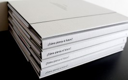 Llimona disseny gràfic i desenvolupament web