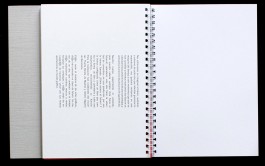 Llimona disseny gràfic i desenvolupament web