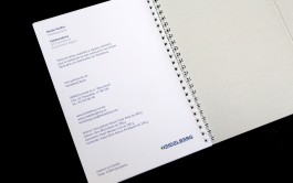 Llimona disseny gràfic i desenvolupament web