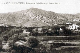 Vista parcial de la muntanya de la Penya del Moro Llimona disseny gràfic i desenvolupament web