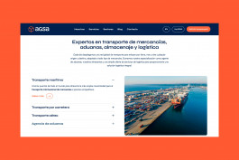 Llimona disseny gràfic i desenvolupament web
