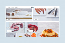  Llimona disseny gràfic i desenvolupament web