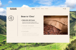  Llimona disseny gràfic i desenvolupament web