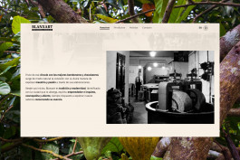  Llimona disseny gràfic i desenvolupament web