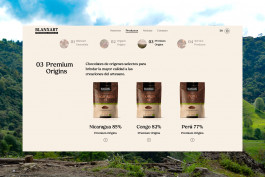  Llimona disseny gràfic i desenvolupament web