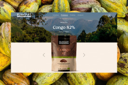  Llimona disseny gràfic i desenvolupament web