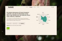  Llimona disseny gràfic i desenvolupament web