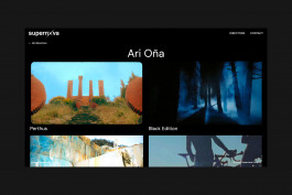  Llimona disseny gràfic i desenvolupament web