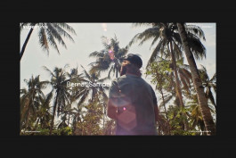 Llimona disseny gràfic i desenvolupament web